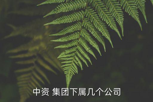 中資 集團(tuán)下屬幾個(gè)公司