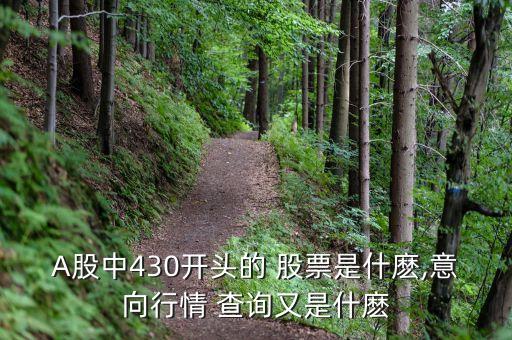 A股中430開(kāi)頭的 股票是什麼,意向行情 查詢又是什麼