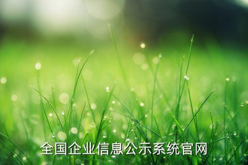 全國企業(yè)信息公示系統(tǒng)官網(wǎng)