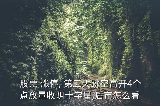  股票 漲停, 第二天跳空高開4個點(diǎn)放量收陰十字星,后市怎么看