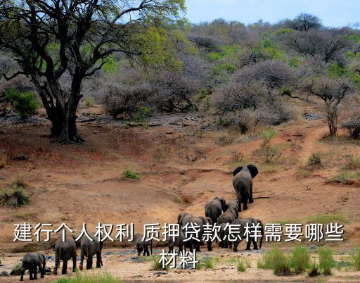 建行個人權(quán)利 質(zhì)押貸款怎樣需要哪些材料