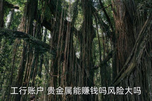 工行賬戶 貴金屬能賺錢嗎風(fēng)險大嗎