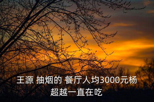 王源 抽煙的 餐廳人均3000元楊超越一直在吃