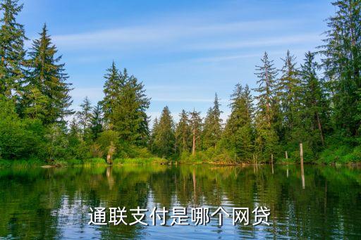 通聯(lián)支付是哪個網(wǎng)貸