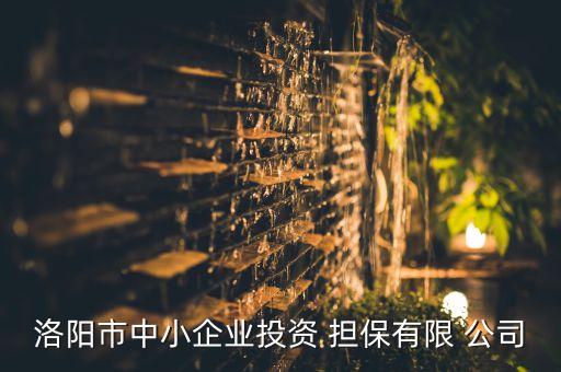 洛陽(yáng)市中小企業(yè)投資 擔(dān)保有限 公司