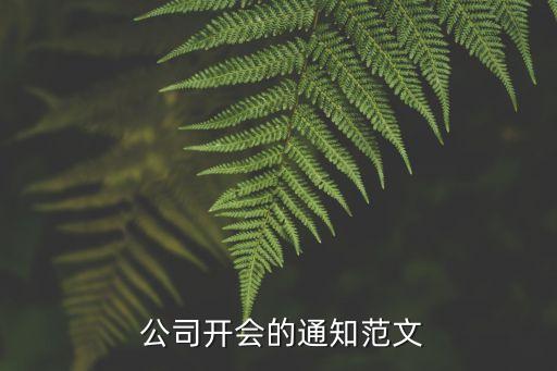  公司開(kāi)會(huì)的通知范文