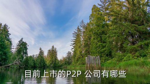 目前上市的P2P 公司有哪些