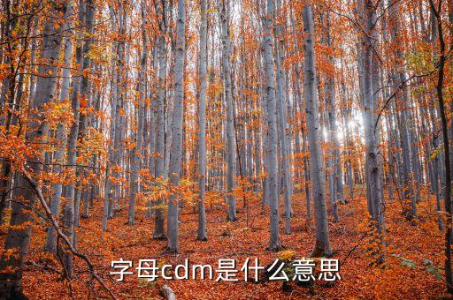 北京銀行CDM什么意思,cdm取款機什么意思