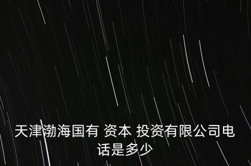 天津渤海國(guó)有 資本 投資有限公司電話是多少