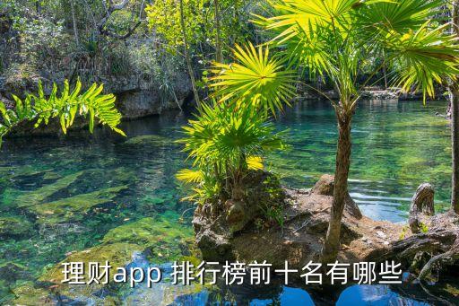  理財(cái)app 排行榜前十名有哪些