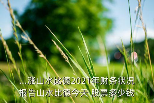 ...漲山水比德2021年財(cái)務(wù)狀況報(bào)告山水比德今天 股票多少錢