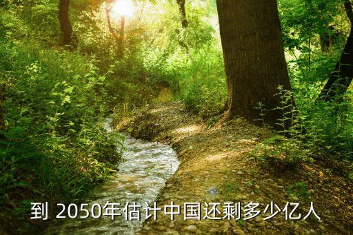 到 2050年估計(jì)中國(guó)還剩多少億人