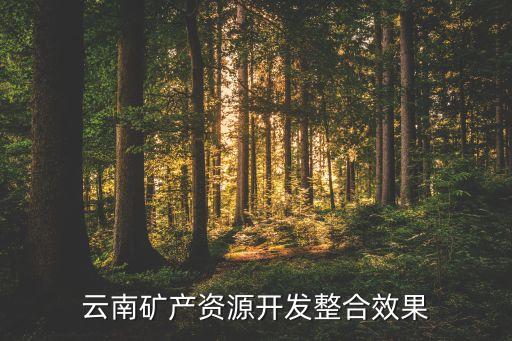 云南礦產(chǎn)資源開發(fā)整合效果