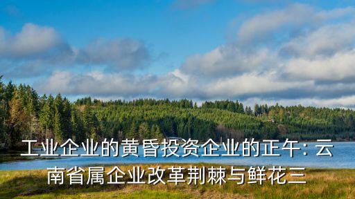 工業(yè)企業(yè)的黃昏投資企業(yè)的正午: 云南省屬企業(yè)改革荊棘與鮮花三