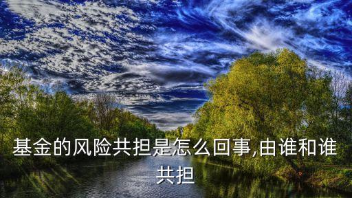 基金的風(fēng)險(xiǎn)共擔(dān)是怎么回事,由誰(shuí)和誰(shuí)共擔(dān)