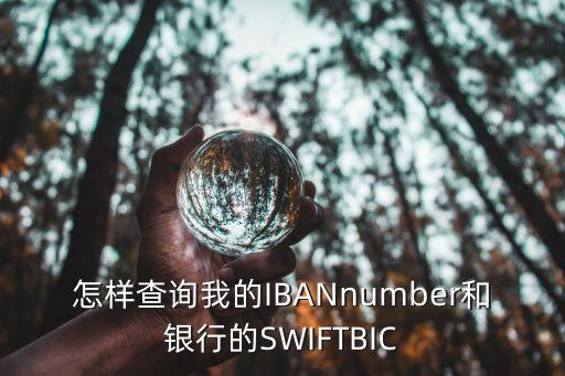 怎樣查詢我的IBANnumber和銀行的SWIFTBIC