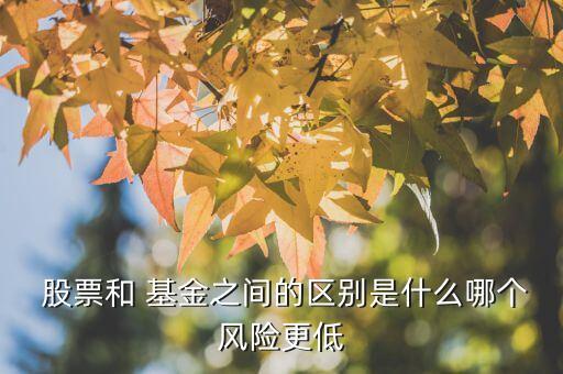  股票和 基金之間的區(qū)別是什么哪個風(fēng)險更低