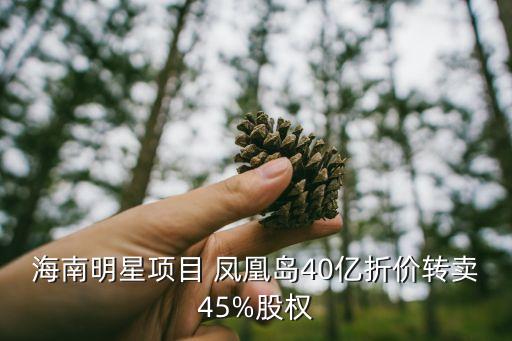 海南明星項目 鳳凰島40億折價轉(zhuǎn)賣45%股權(quán)