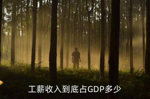 中國(guó)工資總額占gdp比例,工資總額占gdp比例說明什么