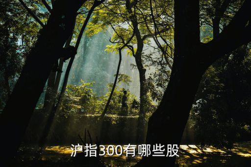 滬指300有哪些股