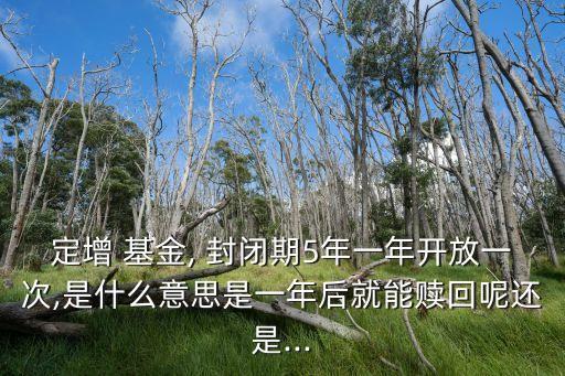 定增 基金, 封閉期5年一年開(kāi)放一次,是什么意思是一年后就能贖回呢還是...