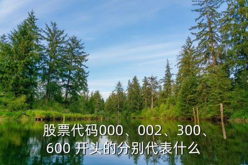  股票代碼000、002、300、600 開頭的分別代表什么