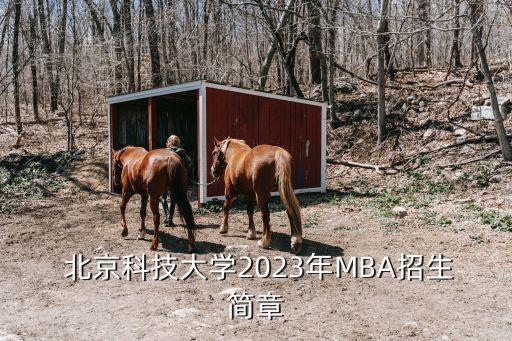  北京科技大學2023年MBA招生簡章