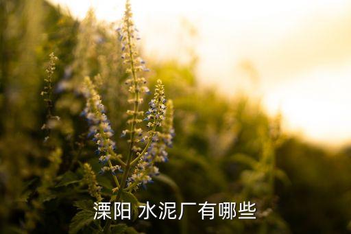 溧陽 水泥廠有哪些