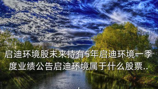 啟迪環(huán)境股未來(lái)持有5年啟迪環(huán)境一季度業(yè)績(jī)公告啟迪環(huán)境屬于什么股票...