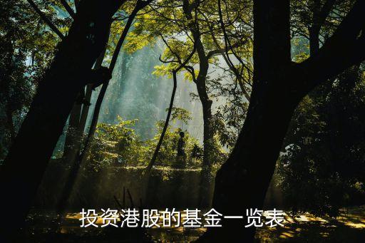 港深聯(lián)合股票,國家聯(lián)合資源股票