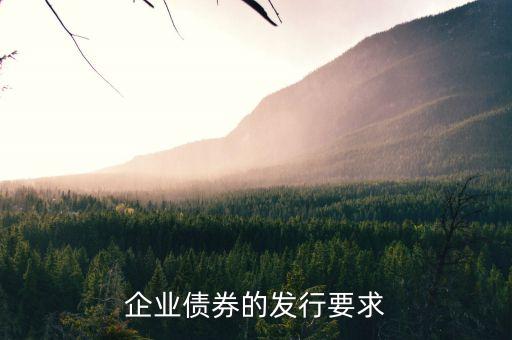 什么公司適合發(fā)債,公司發(fā)債需要什么條件