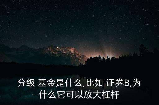 分級(jí) 基金是什么,比如 證券B,為什么它可以放大杠桿