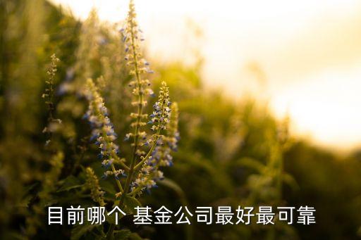 目前哪個 基金公司最好最可靠