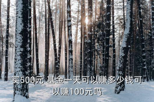 買(mǎi)500元 基金一天可以賺多少錢(qián)可以賺100元嗎