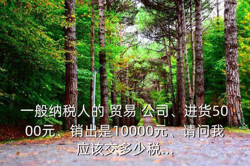 一般納稅人的 貿易 公司、進貨5000元、銷出是10000元、請問我應該交多少稅...