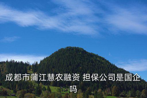 中菲擔(dān)保有限公司,上海市住房置業(yè)擔(dān)保有限公司