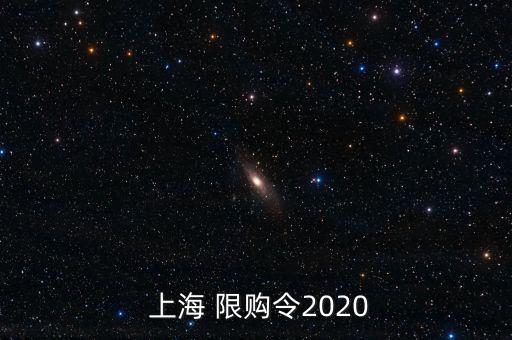  上海 限購令2020