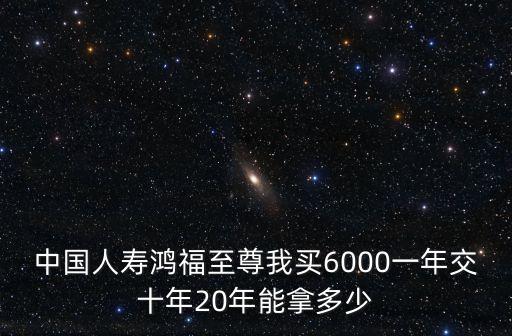 中國人壽鴻福至尊我買6000一年交十年20年能拿多少