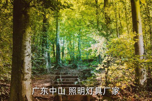 紫陽(yáng)照明設(shè)備有限公司,恩藤照明設(shè)備(北京)有限公司