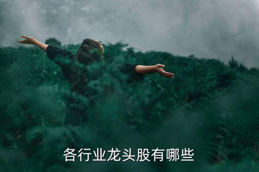 各行業(yè)龍頭股有哪些