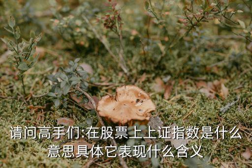 請(qǐng)問高手們:在股票上上證指數(shù)是什么意思具體它表現(xiàn)什么含義