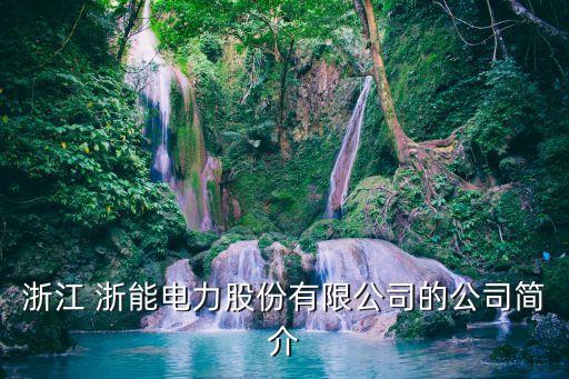 浙江 浙能電力股份有限公司的公司簡(jiǎn)介