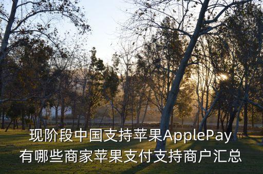 現(xiàn)階段中國(guó)支持蘋果ApplePay有哪些商家蘋果支付支持商戶匯總