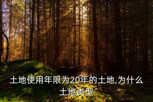 土地使用年限為20年的土地,為什么土地類(lèi)型