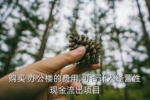 購(gòu)買(mǎi) 辦公樓的費(fèi)用,可否計(jì)入經(jīng)營(yíng)性現(xiàn)金流出項(xiàng)目