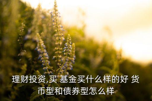 理財投資,買 基金買什么樣的好 貨幣型和債券型怎么樣