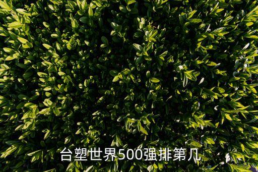  臺塑世界500強(qiáng)排第幾