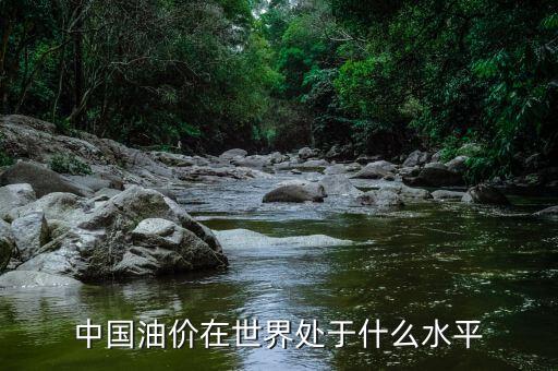 中國油價(jià)在世界處于什么水平