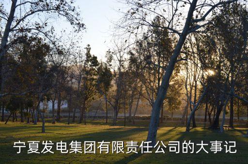  寧夏發(fā)電集團有限責任公司的大事記