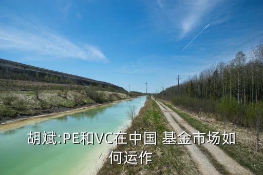 胡斌:PE和VC在中國 基金市場如何運(yùn)作